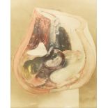 Antique Fetal Development Photograph