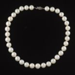 Ladies' Gold and Large 11.5-12.5 mm South Sea Pearl Necklace/Double Wrap Bracelet