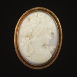 Carved Shell Cameo in Gold Frame, Signed