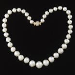 Ladies' South Sea Pearl Necklace with Diamond Clasp