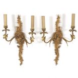 Pair of Two Light Wall Sconces