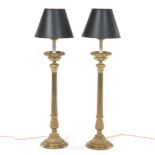 Pair of Tall Brass Lamps with Tole Shades