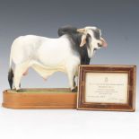 Royal Worcester Vintage Doris Linder Porcelain Brahman Bull, on Wooden Stand, Original Certificate