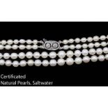 IMPORTANT CERTIFICATED NATURAL SALTWATER PEARL DOUBLE ROW NECKLACE