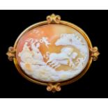LARGE SHELL CAMEO BROOCH