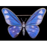 RARE ANTIQUE BUTTERFLY WING BROOCH