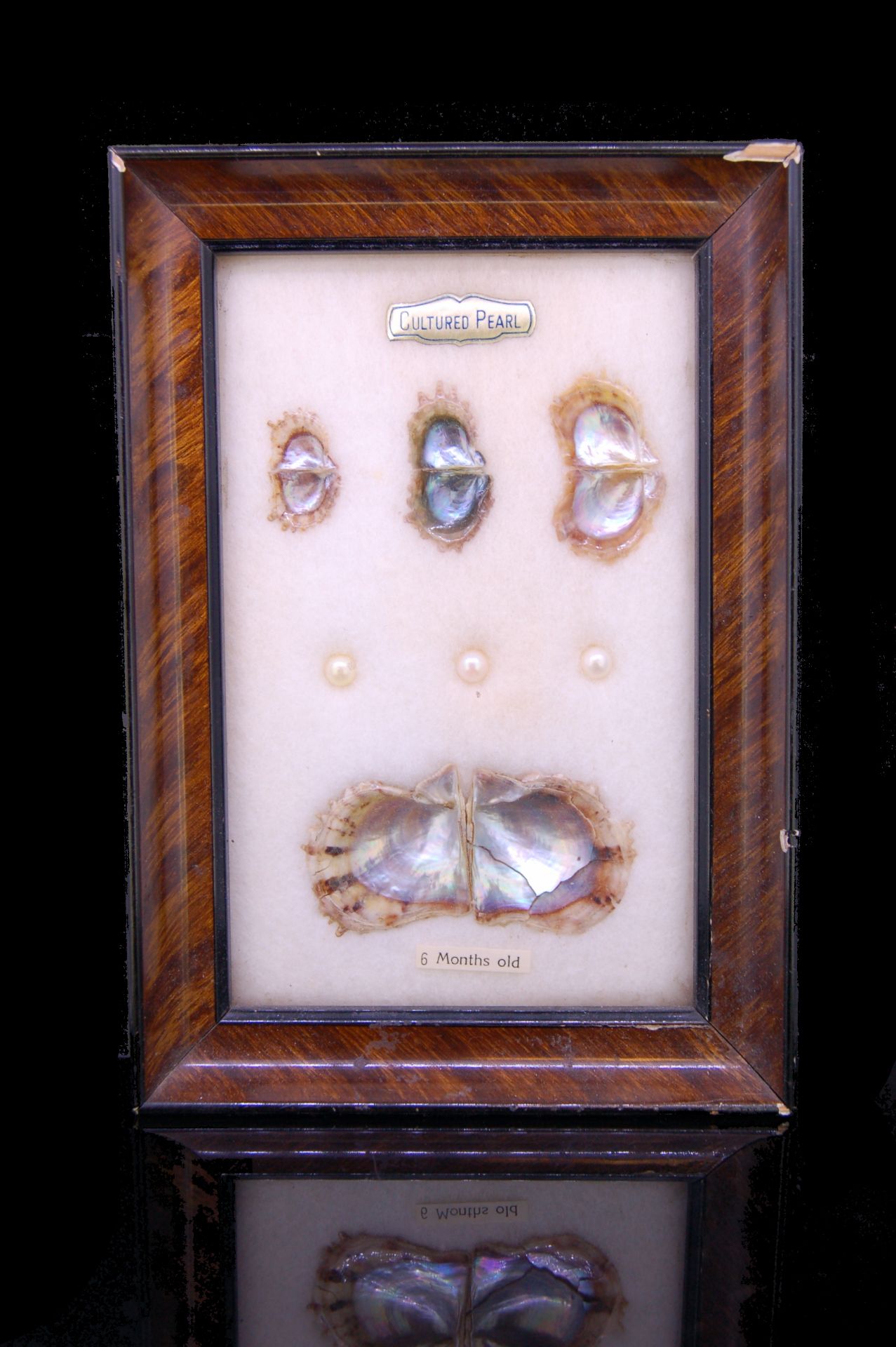 PICTURE FRAME WITH CULTURED PEARLS