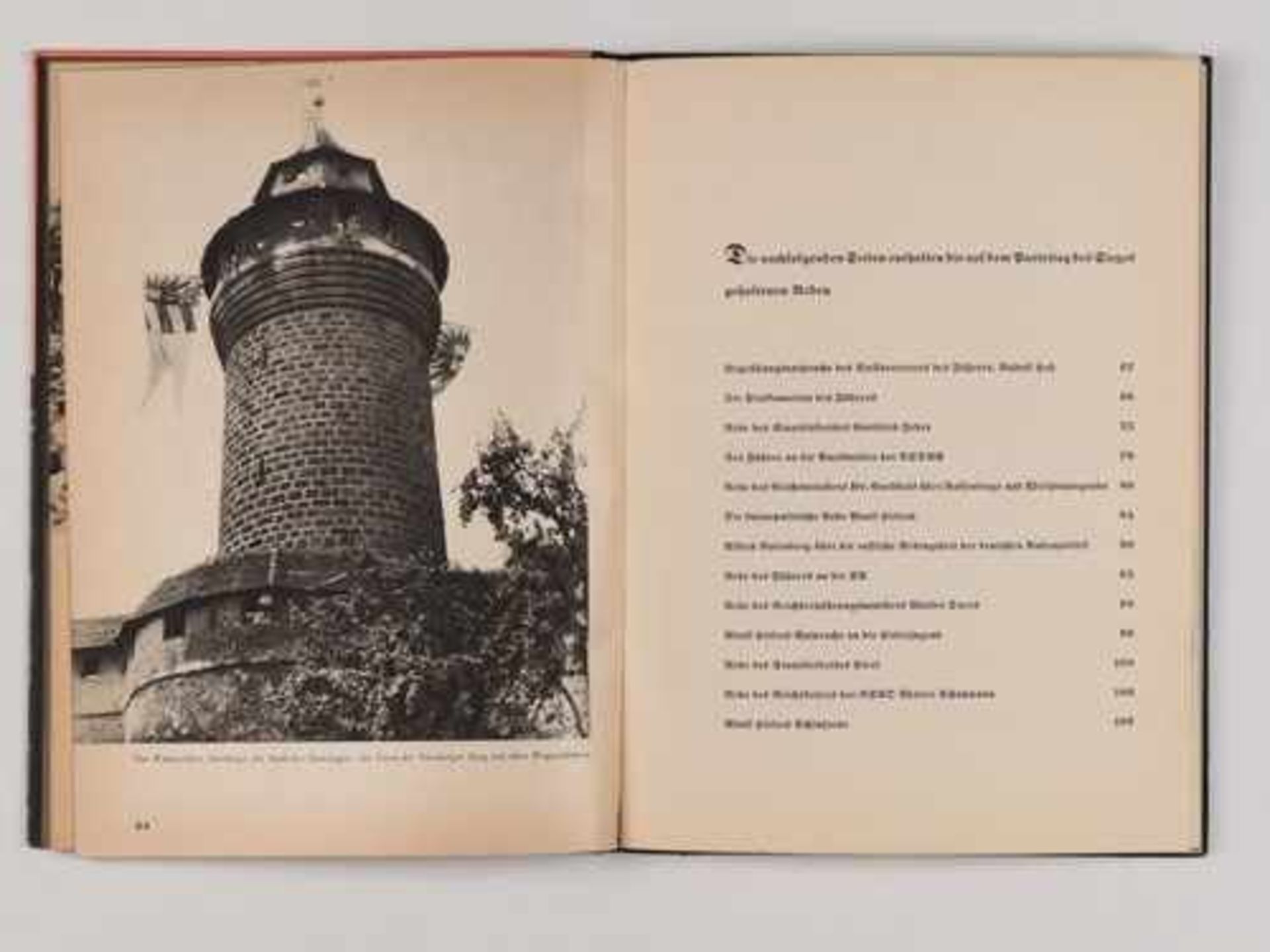 Bücher - 3. Reich 2 Zigarettenalben "Das Reichsheer und seine Tradition" u. "Die Reichswehr", 4 - Bild 9 aus 9