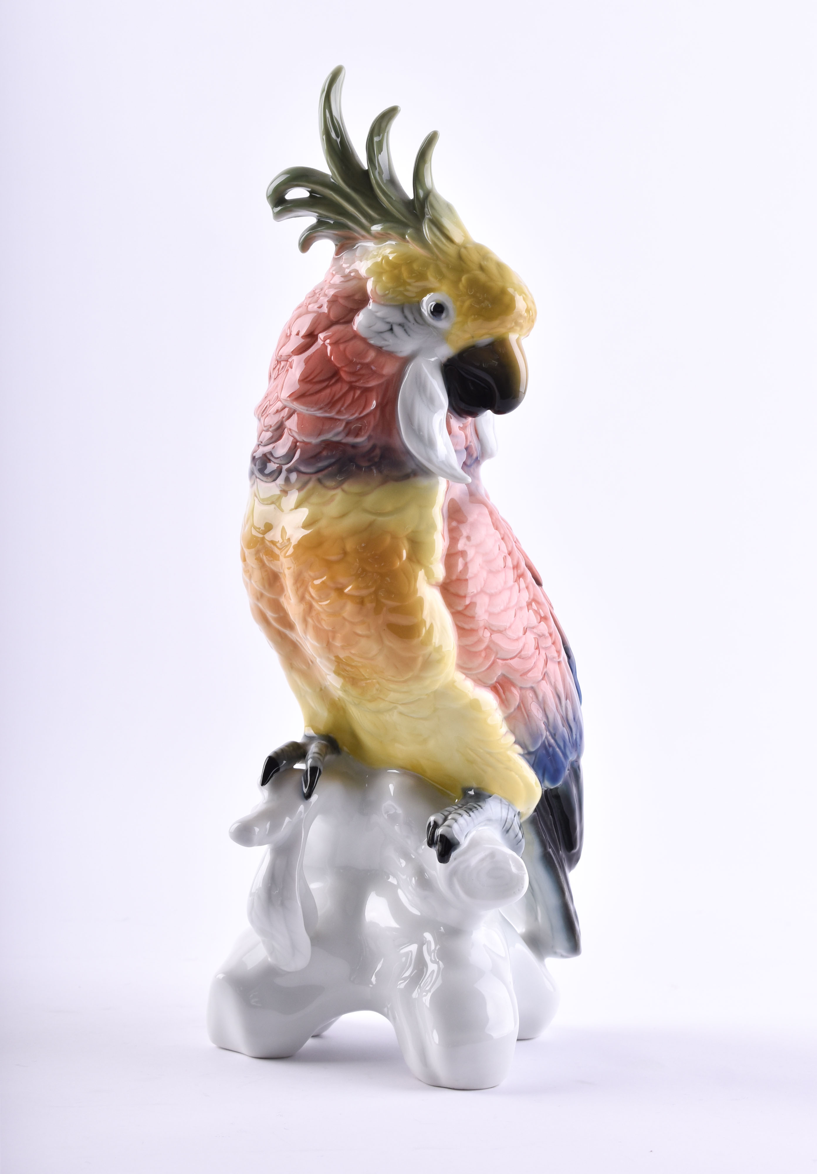  Cockatoo Ens