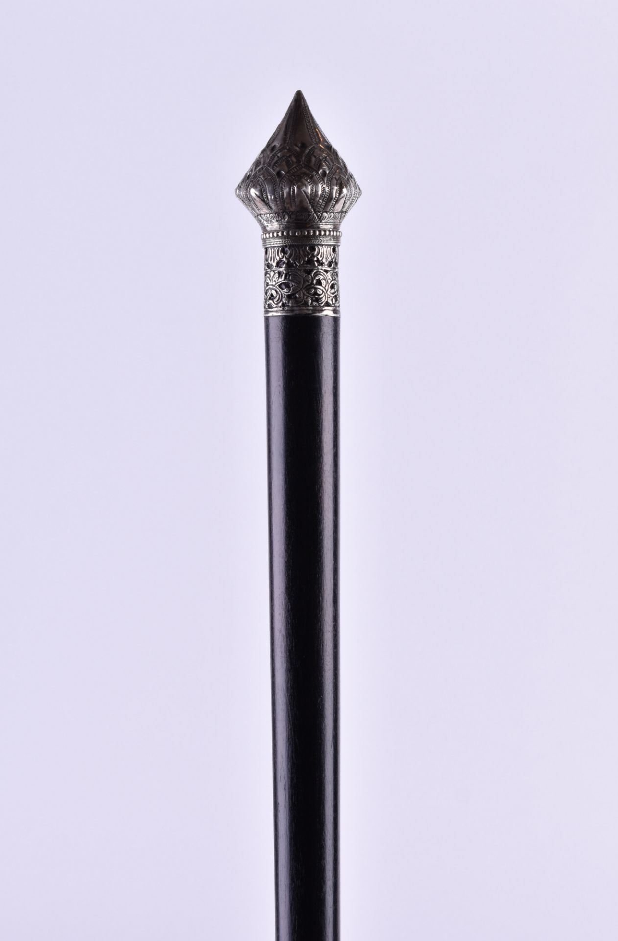  Walking stick China around 1900