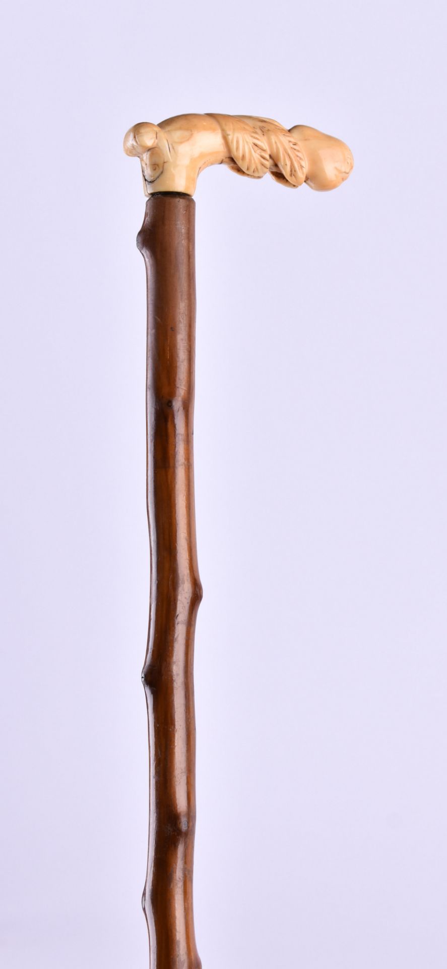  Walking stick around 1900