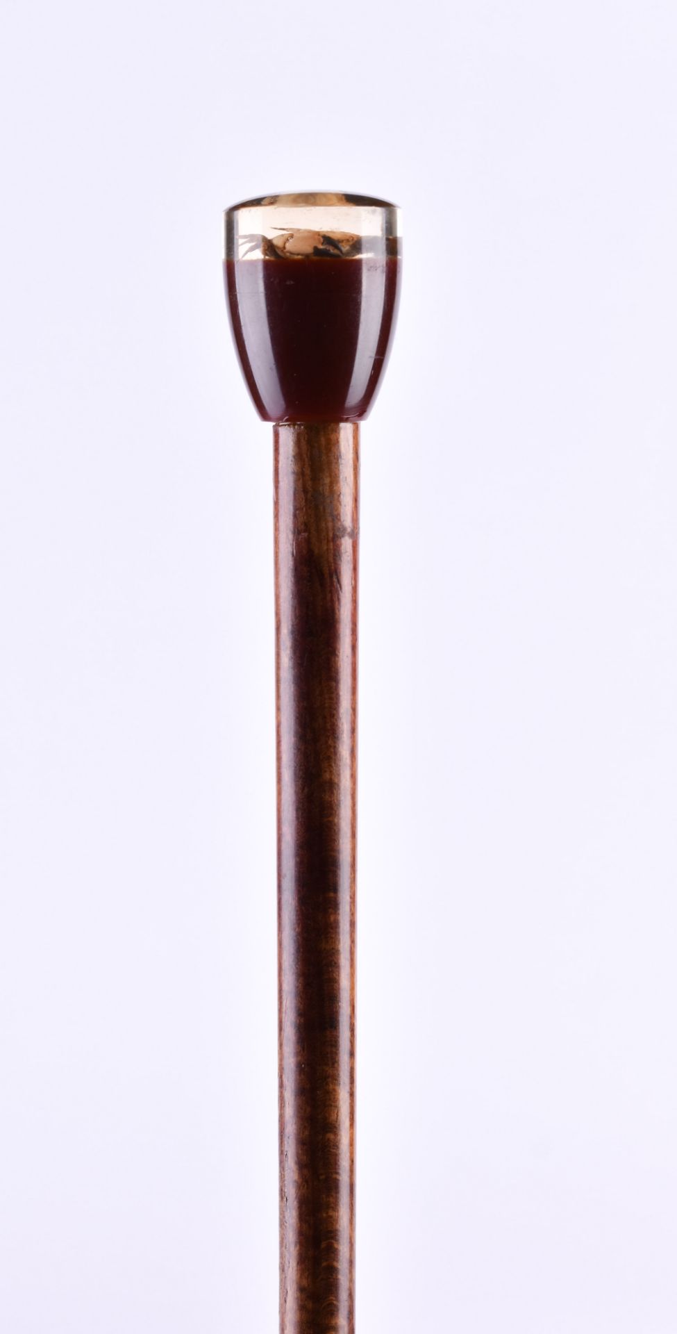  Walking stick around 1920