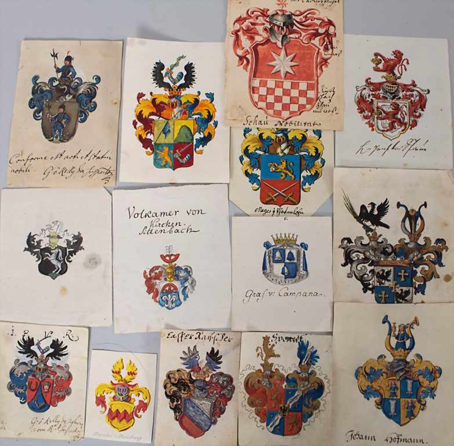 Heraldik: Sammlung 14 Adelswappen / A collection of 14 noble coats of arms, 18. Jh.Tec