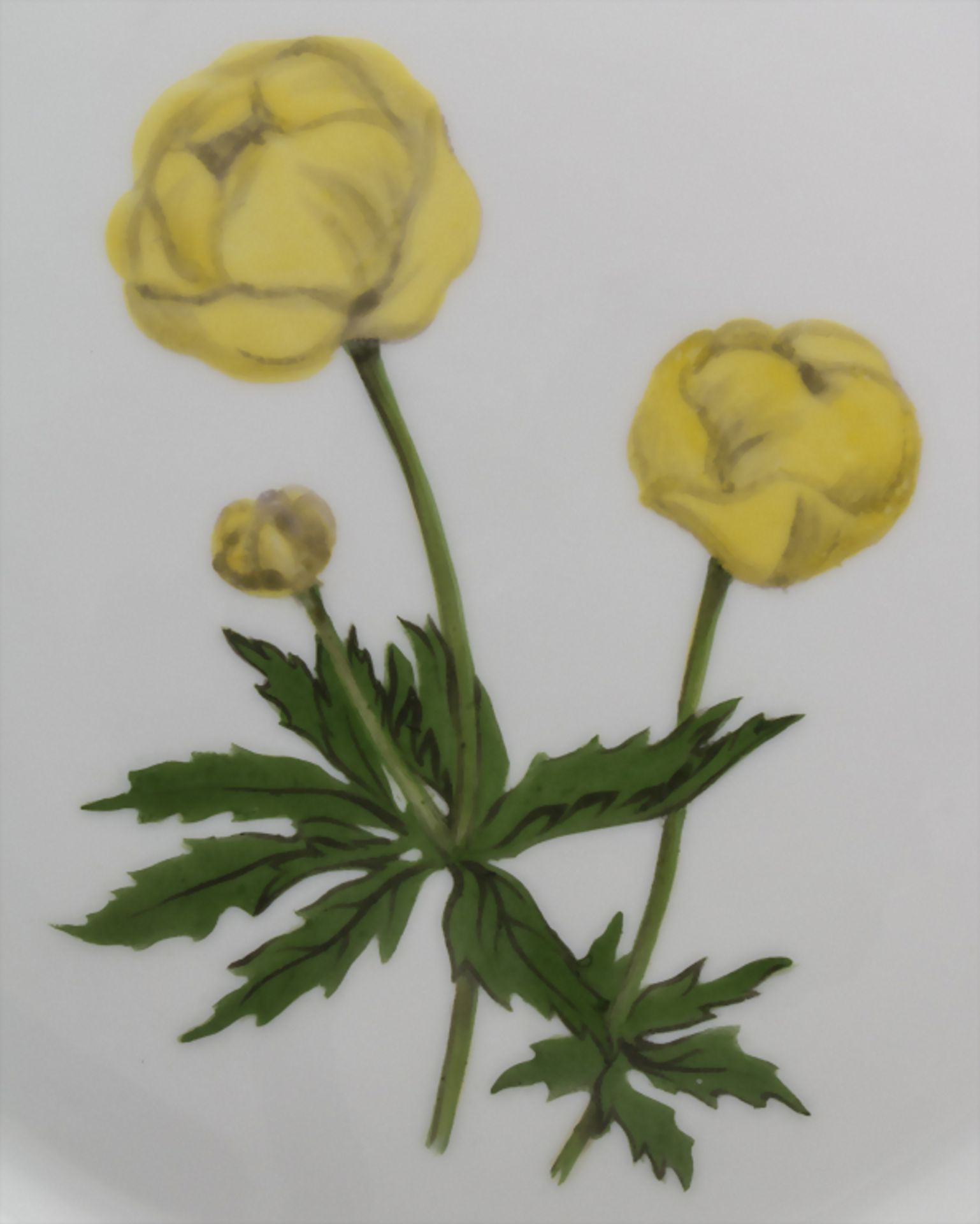 Teller mit Korbflechtrand und Trollblumen / A plate with globeflowers, Rudolf Sieck, Nymphenburg - Bild 2 aus 5