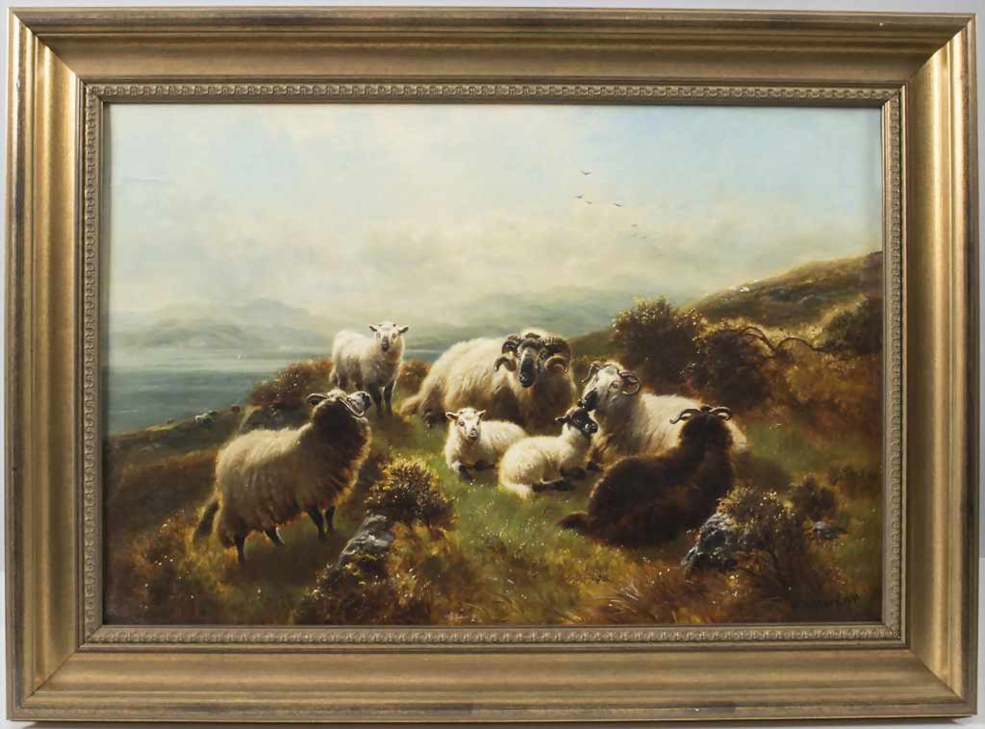William II Watson (1831-1921), 'Hochlandschafe vor Loch Awe' / 'Highland sheep in front of Loch - Bild 2 aus 7