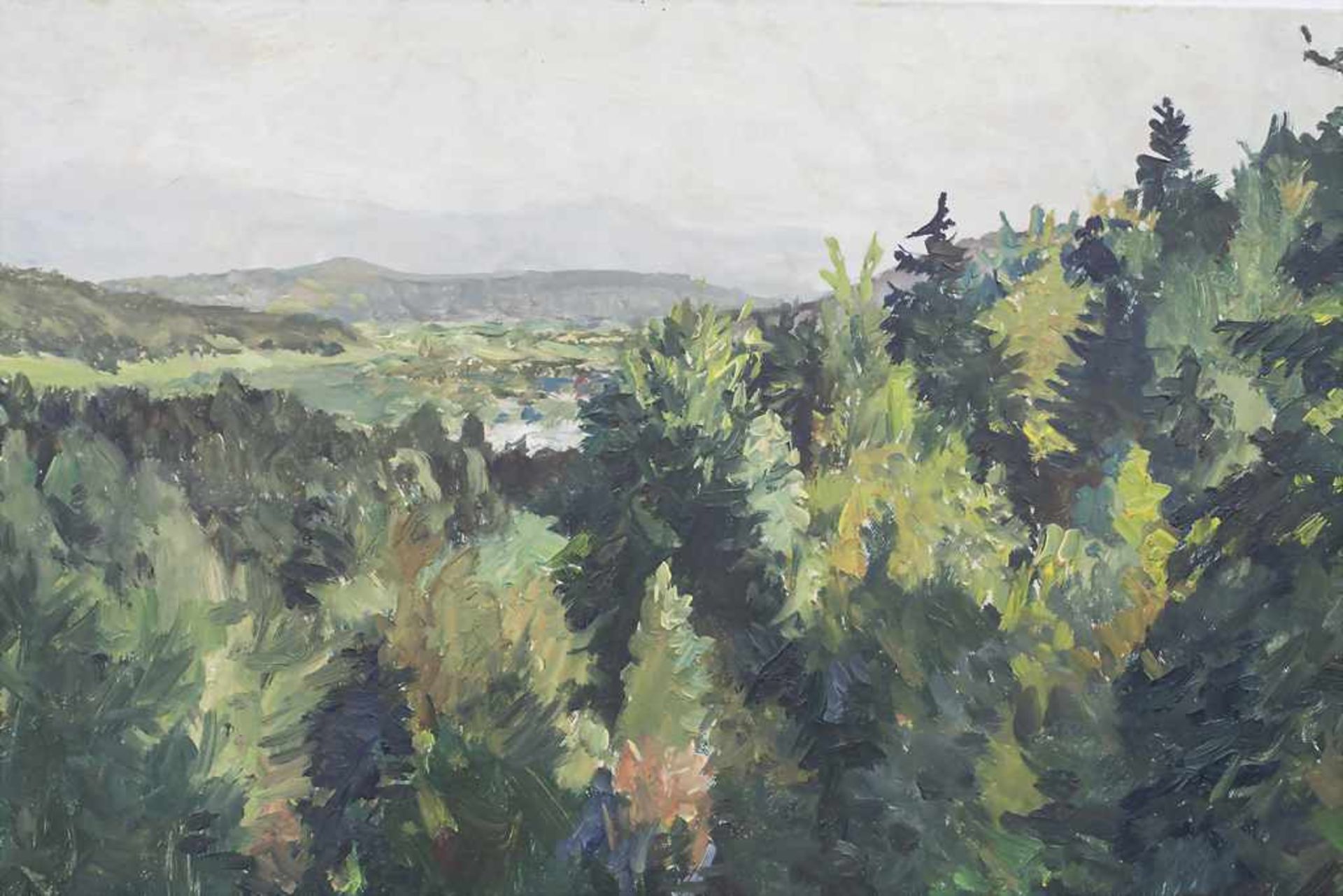 Bernhard Pankok (1872-1943), 'Hügelige Waldlandschaft' / 'A hilly forest landscape'Te - Bild 5 aus 6