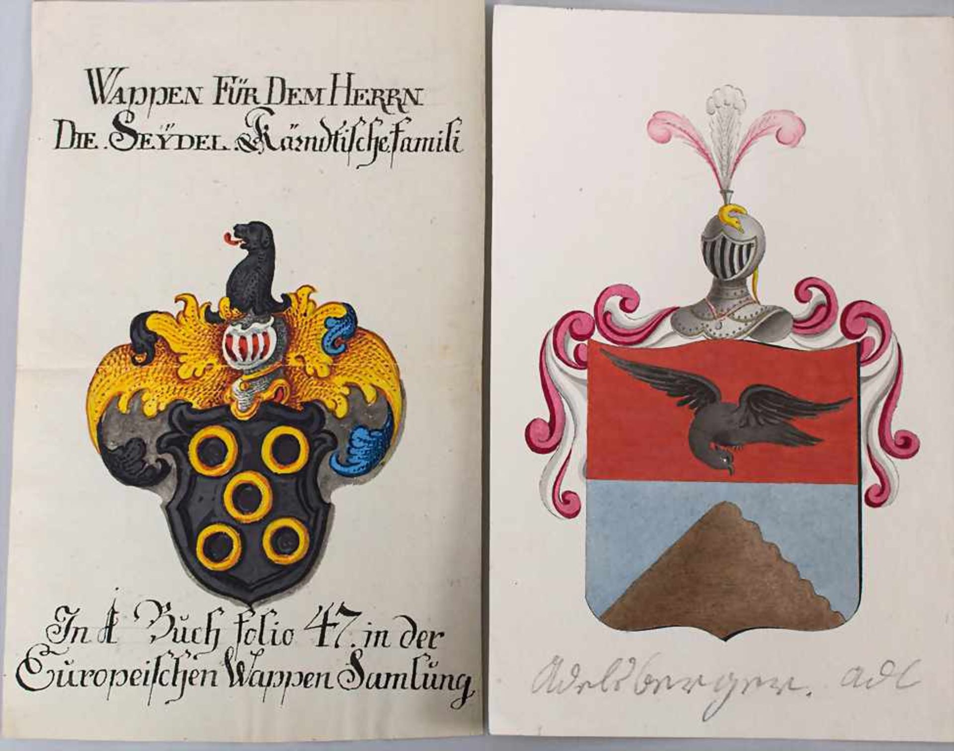 Heraldik: Sammlung 9 Adelswappen / A collection of 9 noble coats of arms, 18. Jh.Techn - Bild 2 aus 8