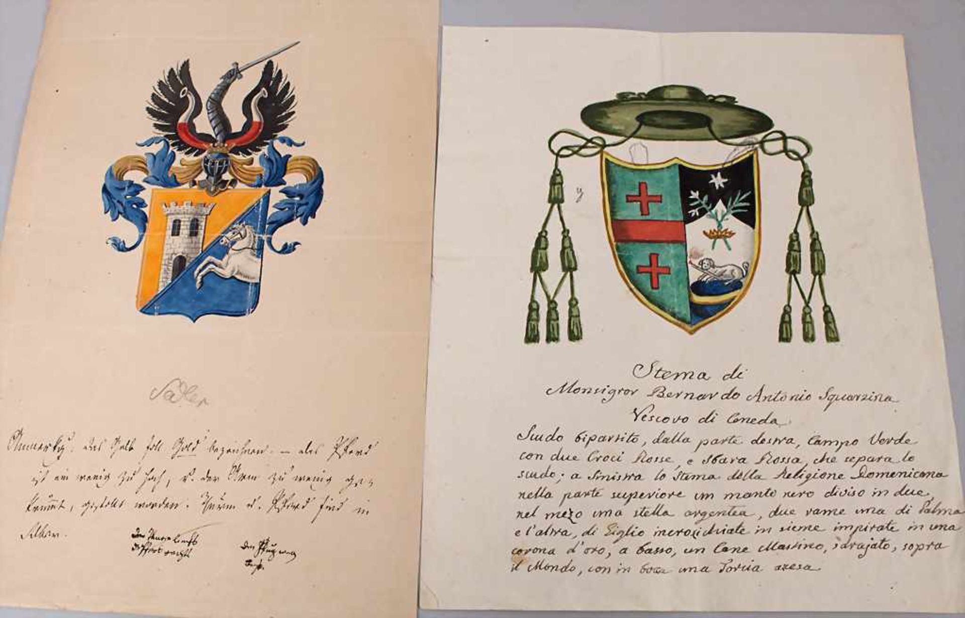 Heraldik: Sammlung 9 Adelswappen / A collection of 9 noble coats of arms, 18. Jh.Techn - Bild 6 aus 8