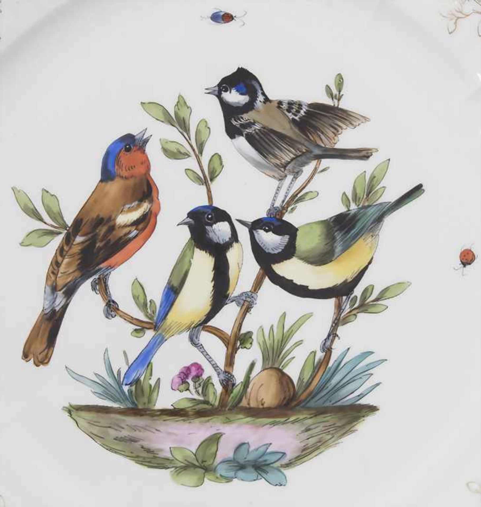 Großer Teller mit Buchfink, Meisen und Insekten / A large platter with a chaffinch, tits and in - Bild 2 aus 5