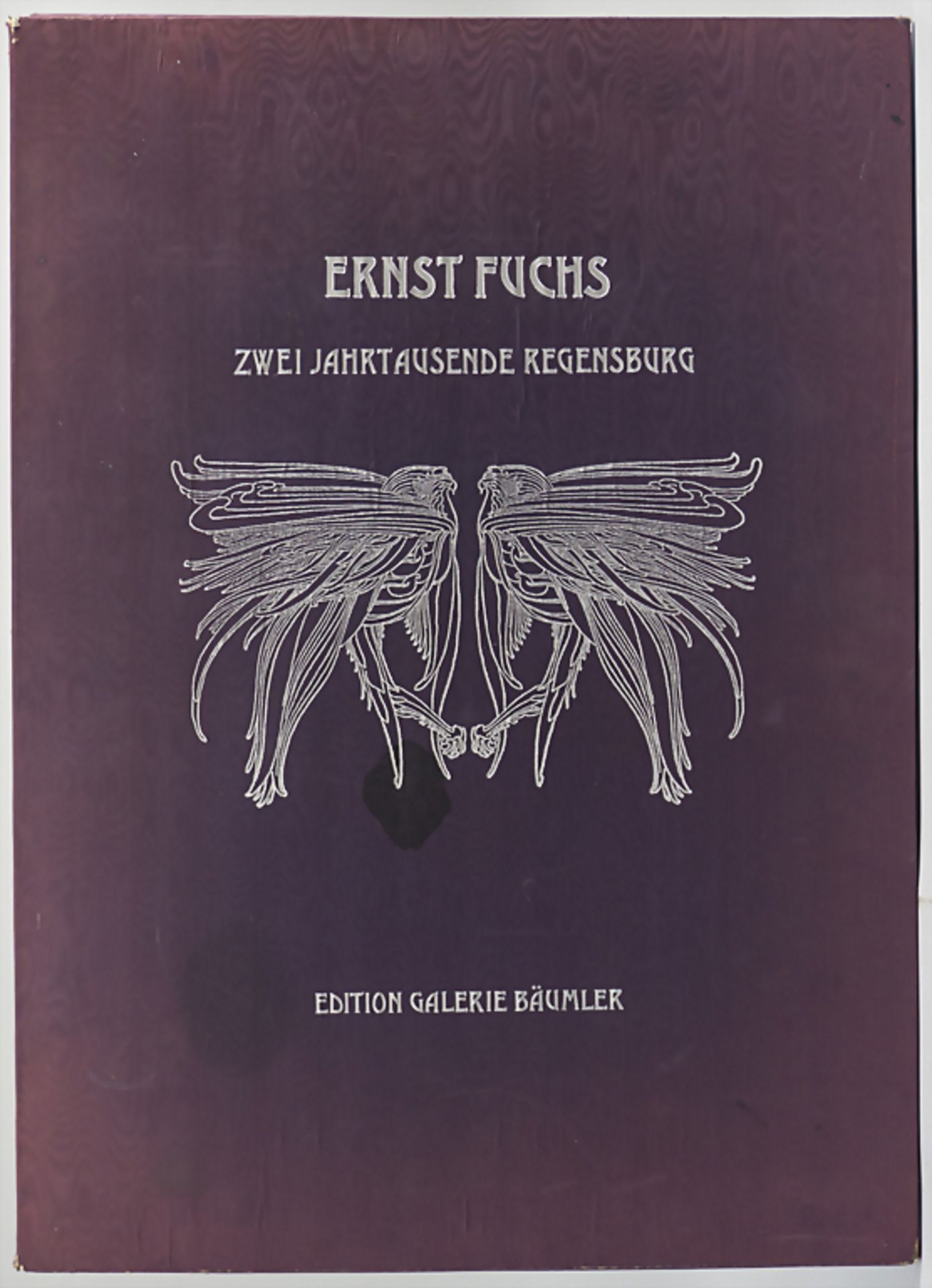 Ernst FUCHS (1930-2015), 'Zwei Jahrtausende Regensburg', Mappenwerk mit 4 Radierungen und einem Gedi - Bild 2 aus 6