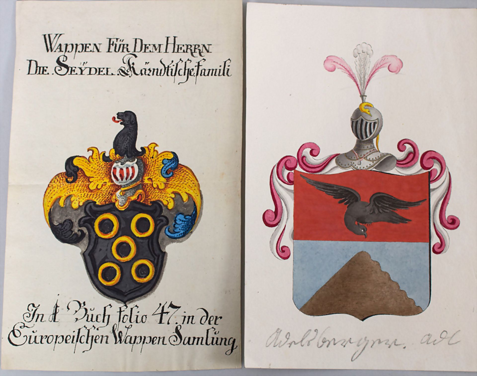 Heraldik: Sammlung 9 Adelswappen / A collection of 9 noble coats of arms, 18. Jh. - Bild 2 aus 8