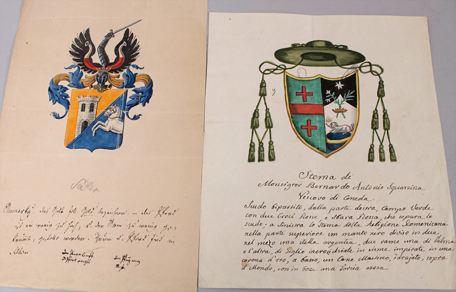 Heraldik: Sammlung 9 Adelswappen / A collection of 9 noble coats of arms, 18. Jh. - Image 6 of 8