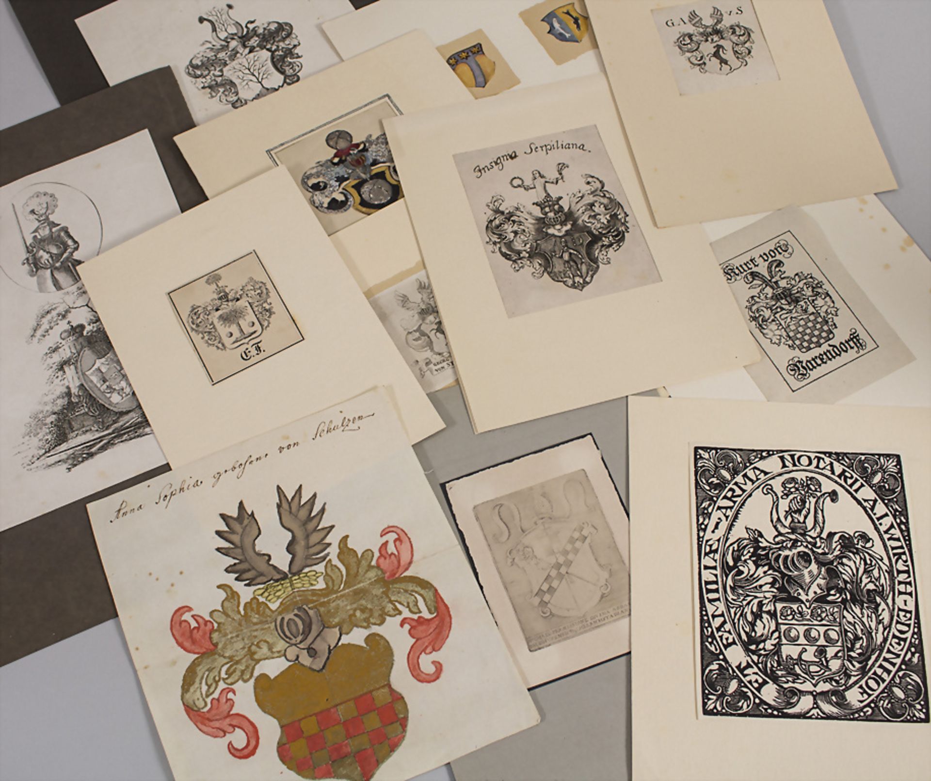 Heraldik Mappe mit zwölf Adelswappen / A set of twelve coat of arms