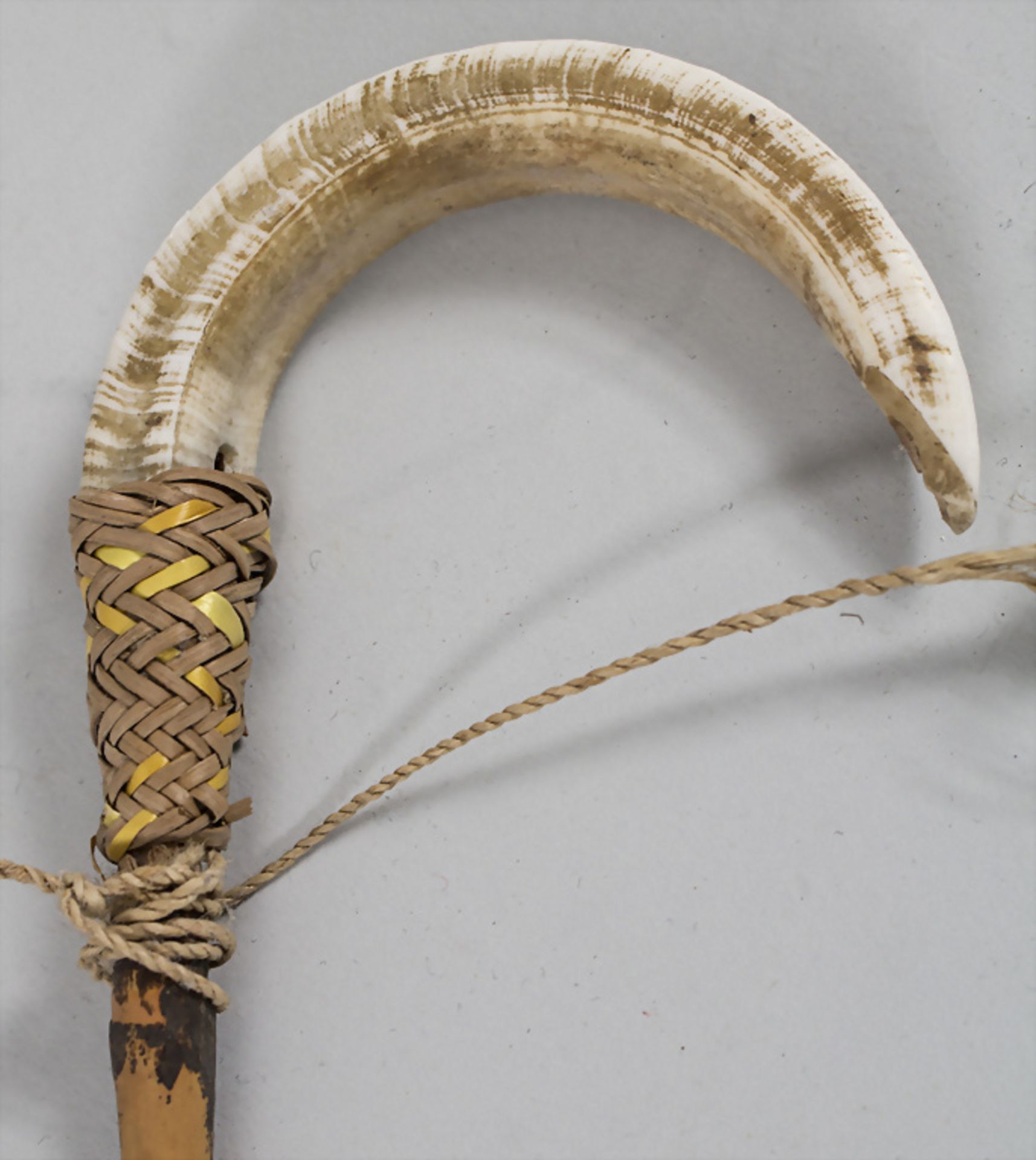 Halsschmuck aus Naturmaterialien / A necklace made of natural materials, Südamerika - Bild 2 aus 2