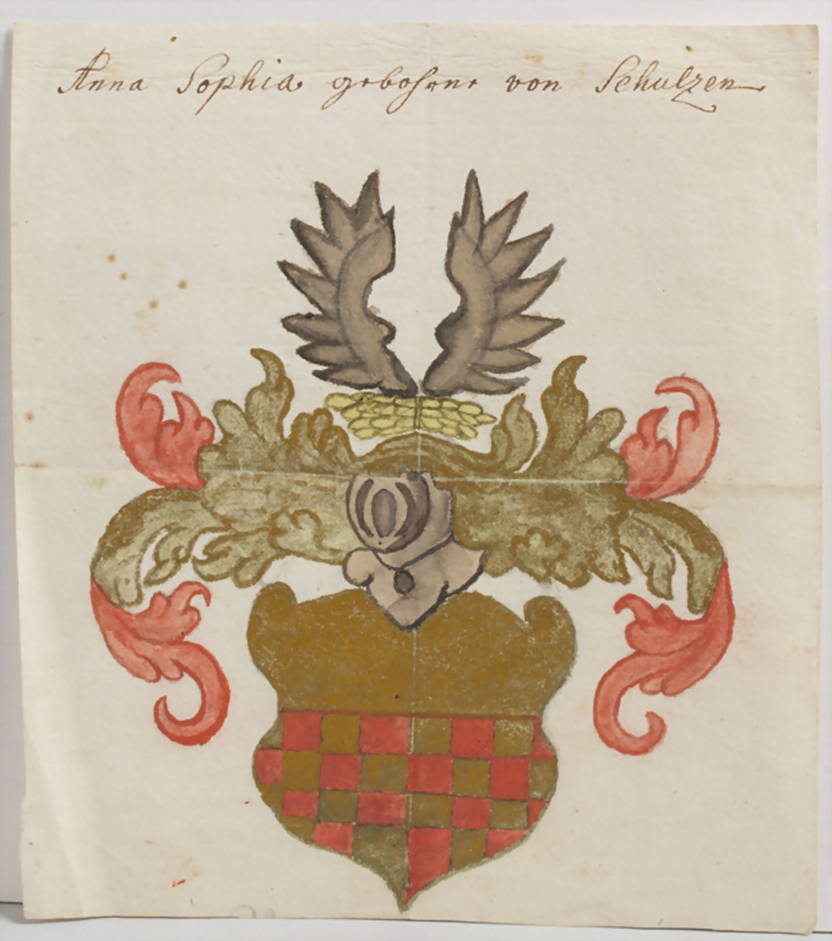 Heraldik Mappe mit zwölf Adelswappen / A set of twelve coat of arms - Image 7 of 10