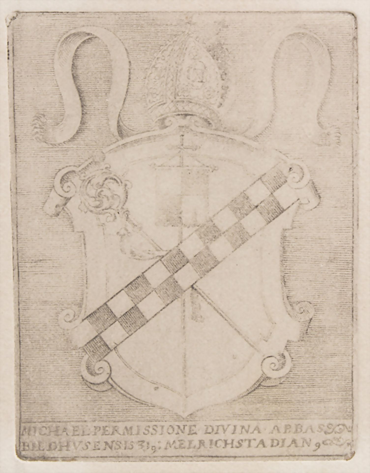 Heraldik Mappe mit zwölf Adelswappen / A set of twelve coat of arms - Image 5 of 10