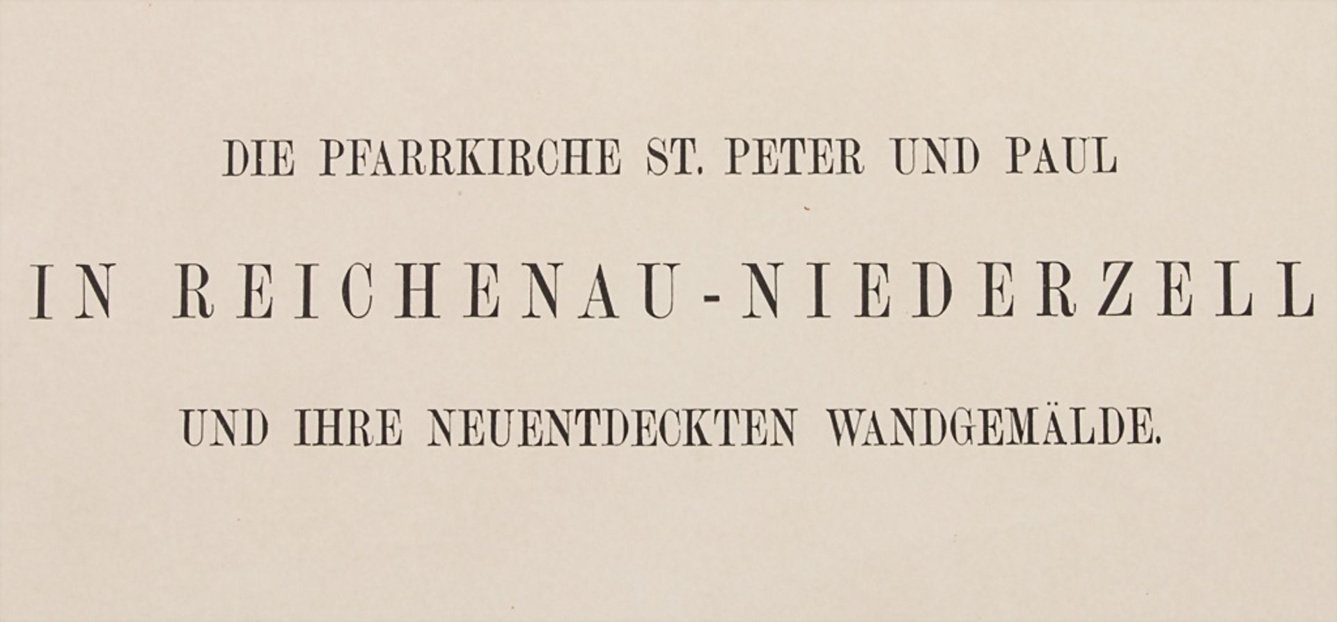 Festschrift 'Die Pfarrkirche Peter und Paul in Reichenau-Niederzell und ihre neuentdeckten ...