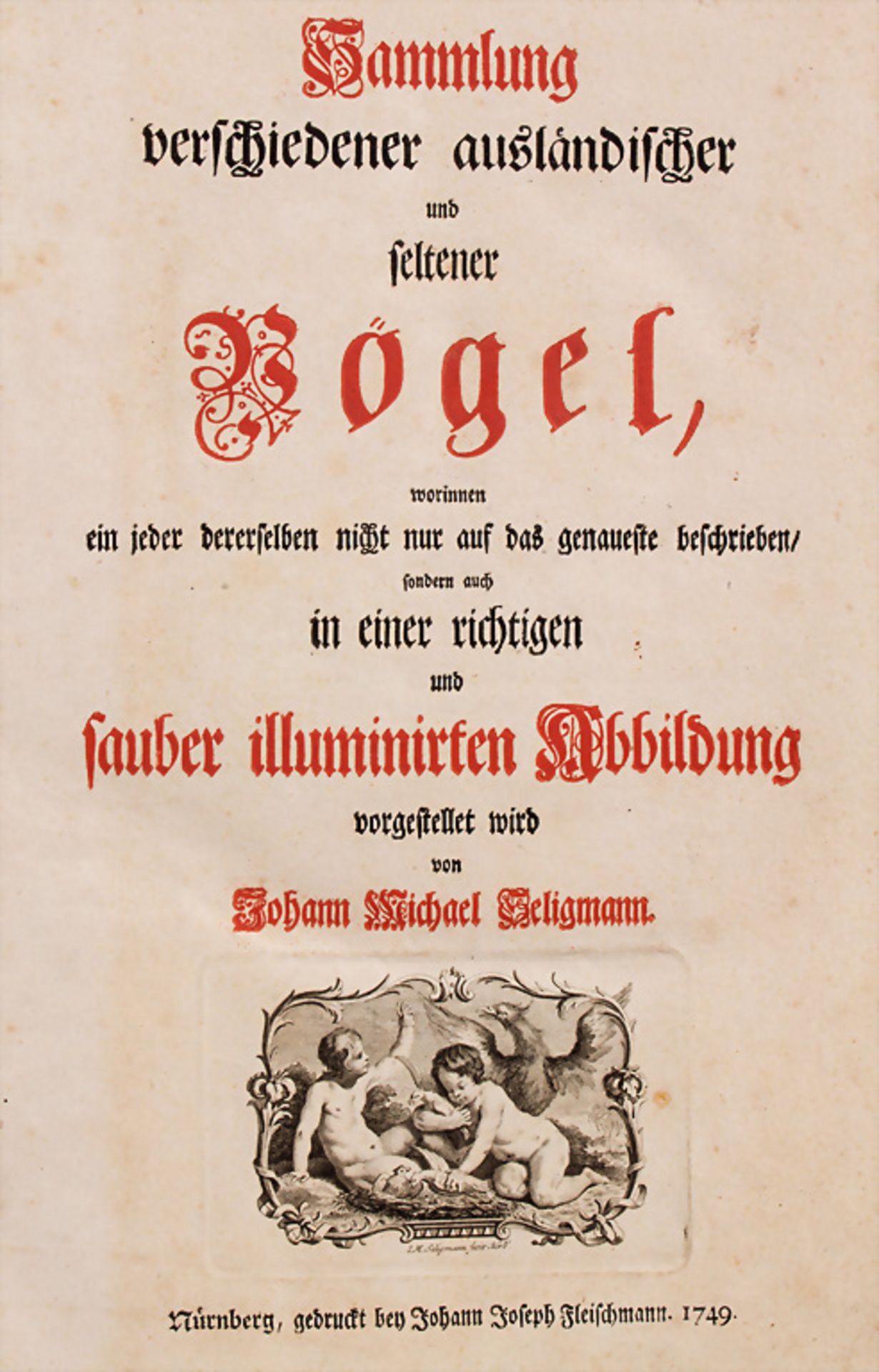 J.M. Seligmann: 'Sammlung verschiedener ausländischer Vögel' / A collection of various foreign ...