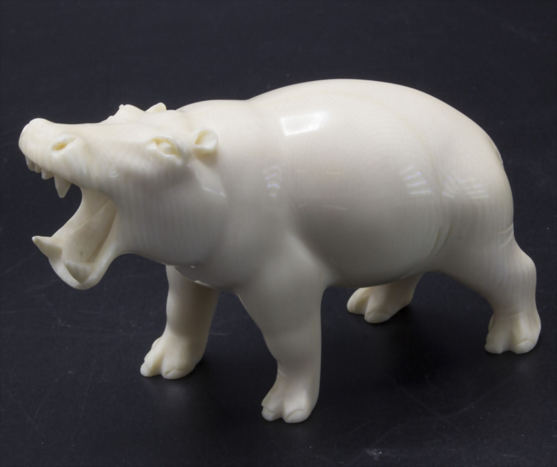 Elfenbein Tierskulptur 'Nilpferd' / An ivory animal sculpture 'hippopotamus', Anfang 20. Jh.