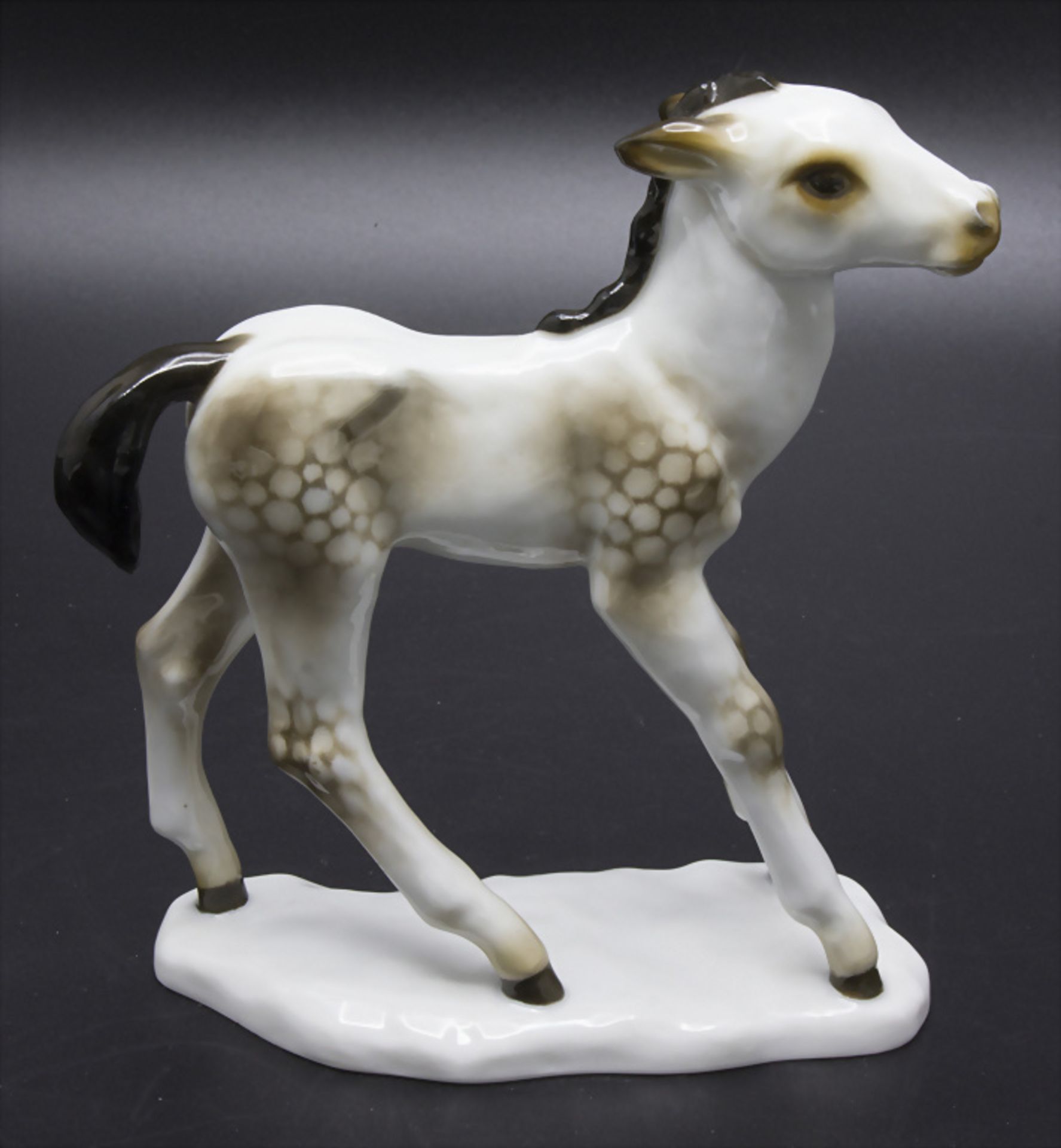 Fohlen / A foal, G. Friedrich für Rosenthal, Selb, 20. Jh.