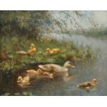 Hendrik Breedveld, Entenfamilie am Ufer Entenmutter mit ihrem Nachwuchs am bewachsenem Ufer eines