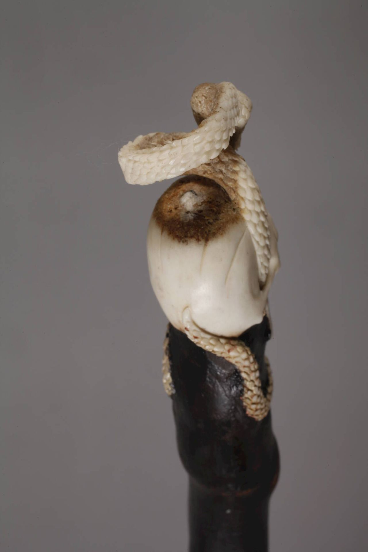 Spazierstock Memento Mori wohl 19. Jh., Bein aufwendig beschnitzt, das Griffstück figürlich - Bild 5 aus 5