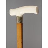 Spazierstock Elfenbein Anfang 20. Jh., geschwungenes Griffstück aus Elfenbein, Silbermanschette