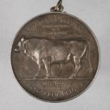 Rinderzucht-Medaille Belgien 1910, Silber, amelioration de la race bovine/Namur 1910, Öse gedellt,