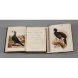 Zwei Bücher Vogelkunde The illustrated book of pigeons with standards for judging, bey Robert