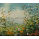 Minni Herzing, Sommerblumenwiese Blick vorbei an Löwenzahn und Pusteblumen, Glockenblumen, Jakobs-