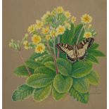 Walther Gasch, Primel mit Schwalbenschwanz Primelpflanze mit darauf sitzendem Schmetterling,