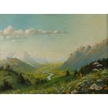 Minni Herzing, Sommer in den Alpen weiter Blick über sommerliche blühende Wiese mit Margeriten,