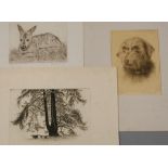 Rudolf Gebhardt, Konvolut Radierungen drei Blatt, je mit Darstellung eines Rehs, betitelt „Kitz“,