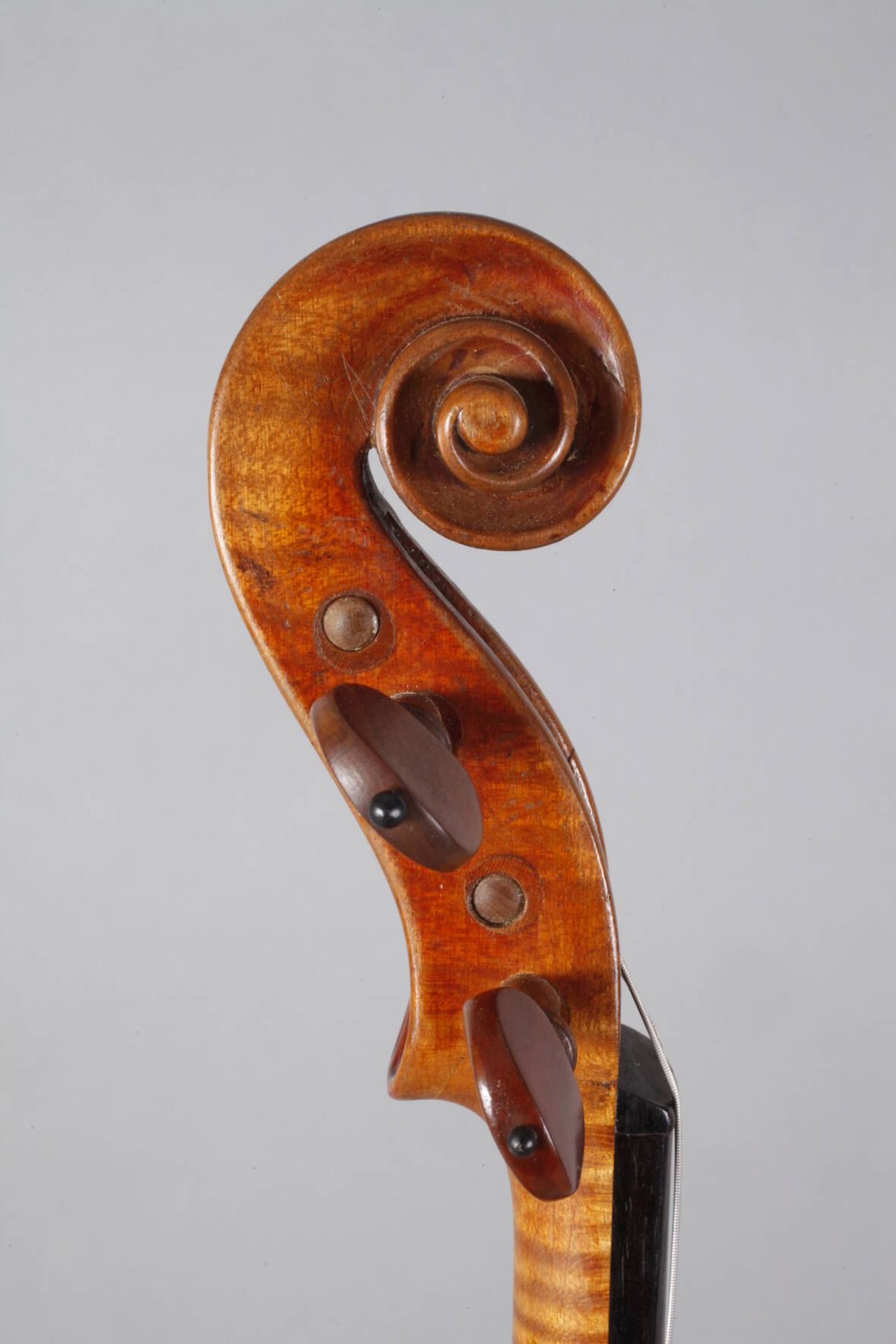 Violine auf Zettel bezeichnet Joannes Franciscus Pressenda p Raphael fecit Taurini anno domini 1830, - Image 4 of 7