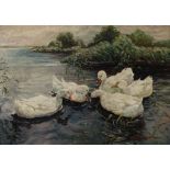 F. Brommert, Enten auf dem See fünf Enten am schilfbewachsenem Ufer eines Sees, leicht pastose