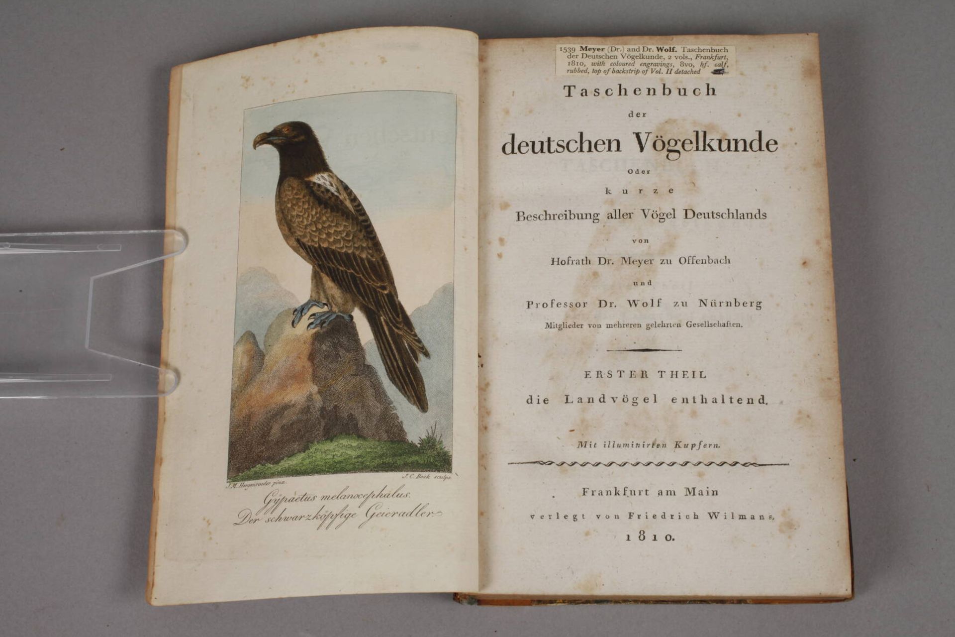 Taschenbuch der deutschen Vogelkunde - Bild 2 aus 5