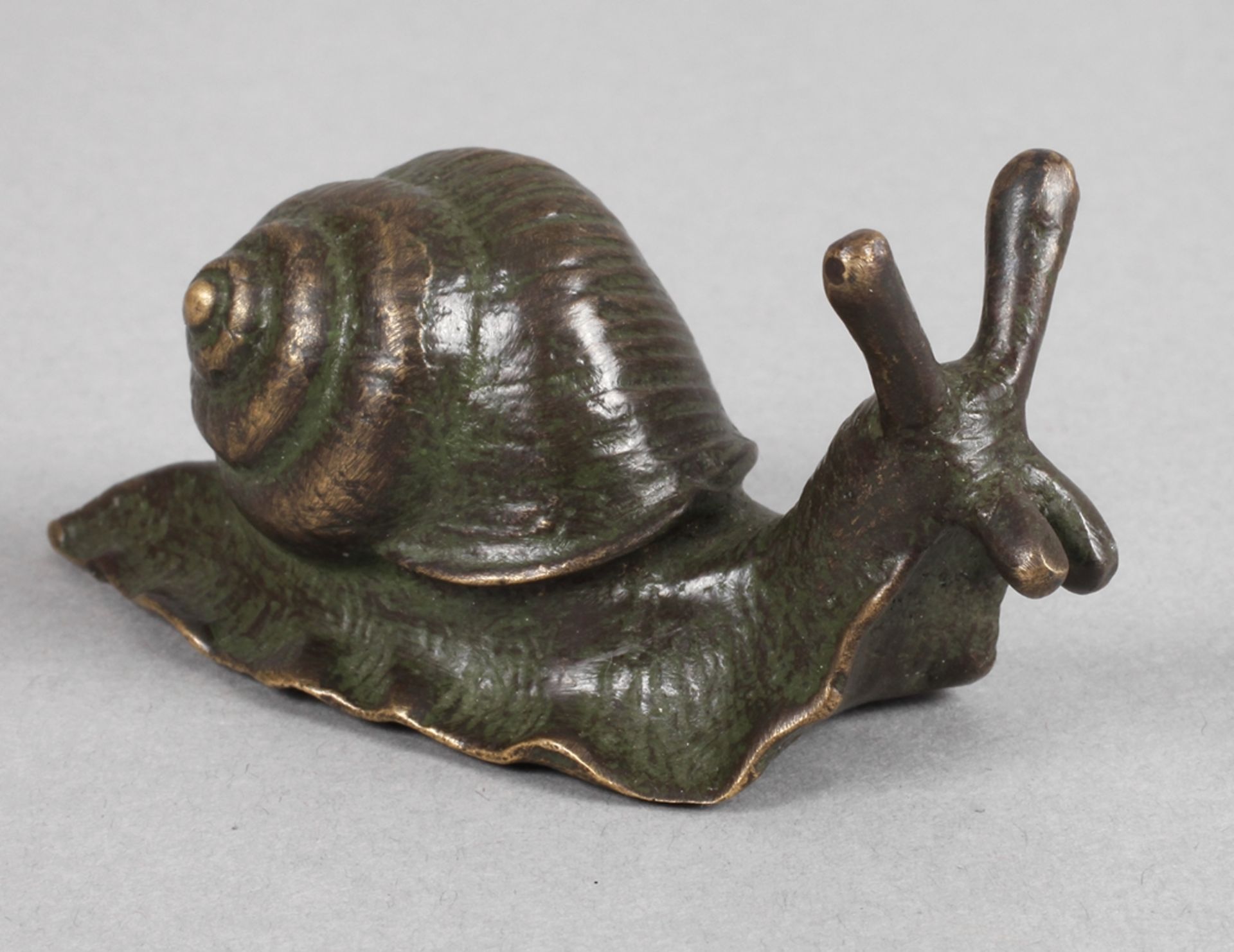 Bronze Schnecke