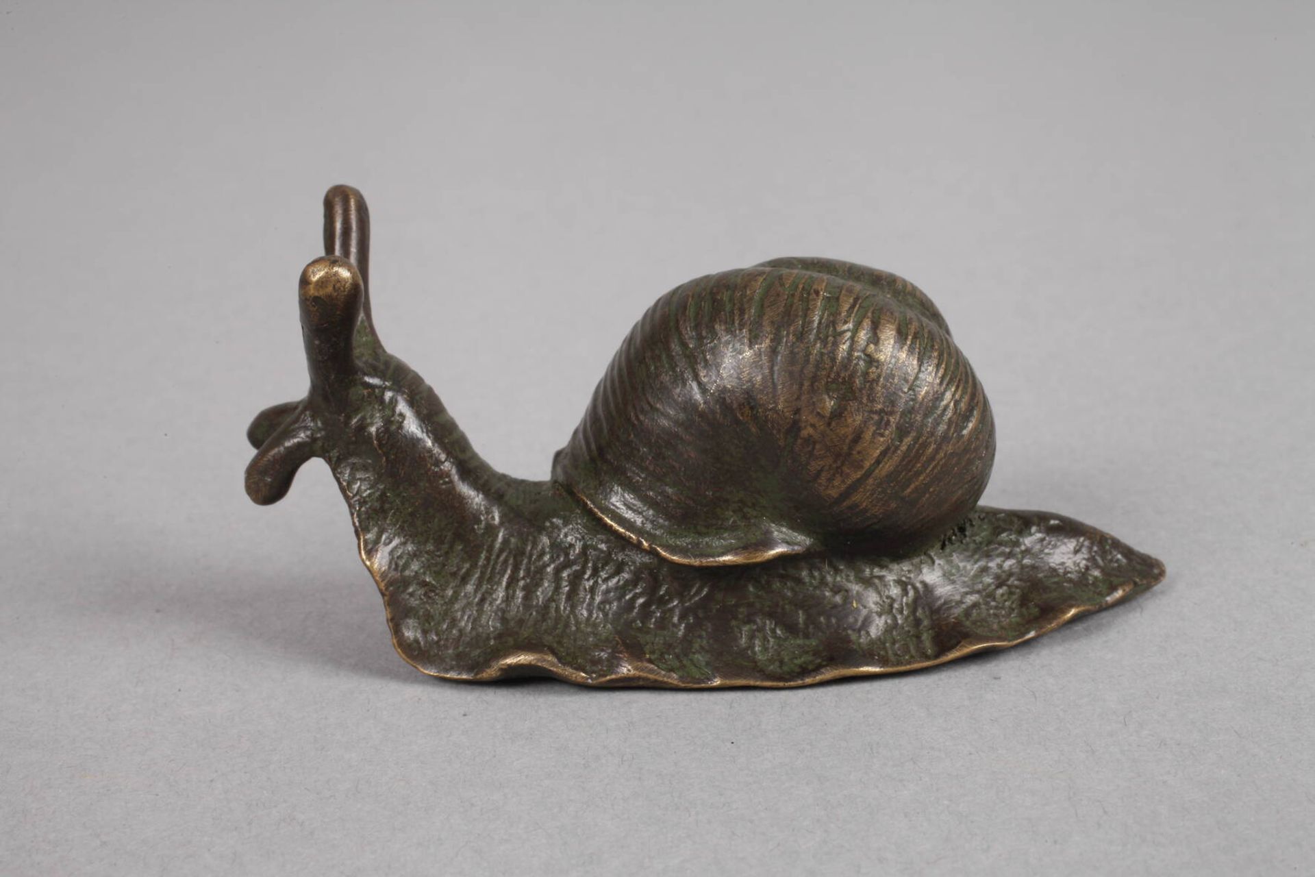 Bronze Schnecke - Image 3 of 3