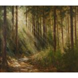 Manfred Feiler, "Sonniger Waldweg"