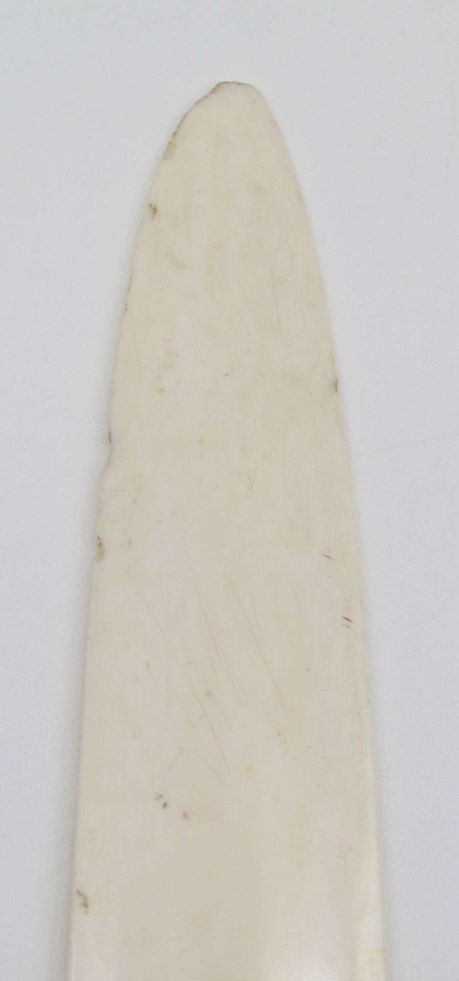 Ivory around 1900. Probably Erbach. Leaf turner owl, silver 800. - Image 4 of 9